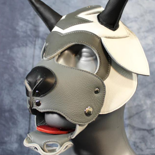 Appa Tribute Pup Hood